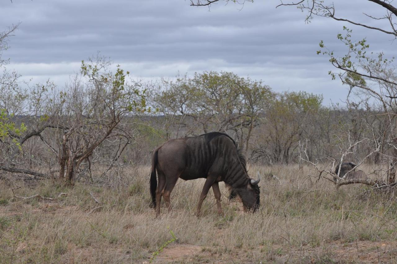 Hazyview Buffalo Game Lodge Zewnętrze zdjęcie